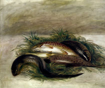 A. Renoir, Stillleben mit Fischen by klassik art