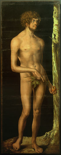 L.Cranach d.Ä., Adam by klassik art