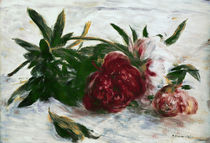Renoir / Peonies by klassik art