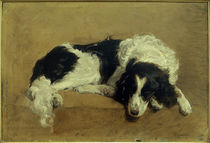 F.v.Amerling, Hühnerhund (Studie) by klassik art