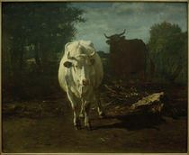 C.Troyon, Zwei Kühe by klassik art