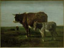 C.Troyon, Kuh mit Esel von klassik art