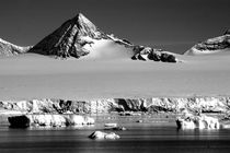 Antarctic Illusion  by PAMELA JONES