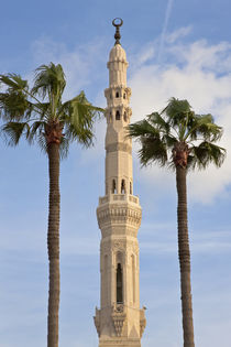 Minaret of mosque, Alexandria, Egypt by Danita Delimont