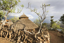 Traditional Konso village on a mountain ridge overlooking th... by Danita Delimont