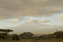 Kenya, Amboseli National Park, Kilimanjaro mountain at sunrise von Danita Delimont
