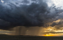 Storm over Amboseli NP, Kenya by Danita Delimont