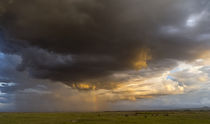 Storm over Amboseli NP, Kenya von Danita Delimont