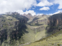 The Mount Kenya NP in Kenya von Danita Delimont