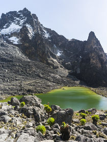The Mount Kenya NP in Kenya by Danita Delimont