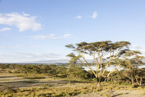 Lake Naivasha and Crescent Island, Kenya by Danita Delimont