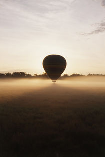 Kenya, Masai Mara National Reserve, Balloon ride at morning mist by Danita Delimont