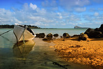 Fishing boat on Mauritian Beach with islet of Mauritius Coin... von Danita Delimont
