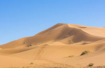 Morocco Sahara Desert sand dunes in Las Palmeras area with p... by Danita Delimont