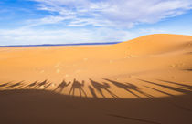 Morocco Sahara Desert sand dunes in Las Palmeras area with s... von Danita Delimont