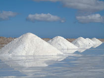 Salt works at the salt marshes of Sabkhat Tazra in the Kheni... von Danita Delimont