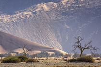 Africa, Namibia, Namib-Naukluft Park by Danita Delimont