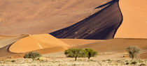 Africa, Namibia, Namib-Naukluft Park by Danita Delimont