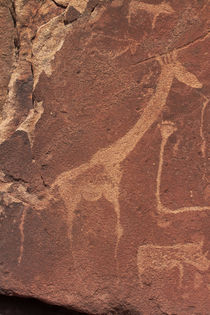 Ancient rock etchings, Twyfelfontein UNESCO World Heritage S... von Danita Delimont