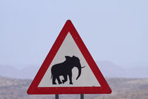 Desert elephant warning sign, C35 road near Uis, Erongo Regi... by Danita Delimont