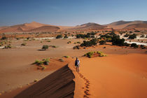Family climbing sand dune at Sossusvlei, Namib-Naukluft Nati... by Danita Delimont