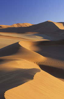 Desert dunes, Sossusvlei, Namib-Naukluft National Park, Namibia by Danita Delimont
