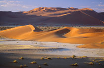 Newly formed dunes in the foreground with huge, old establis... by Danita Delimont