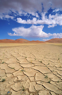 A cracked desert plain that once had water, flowers and gras... von Danita Delimont