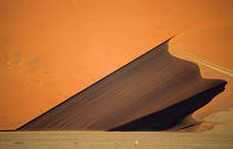 A parabolic dune depicted in evening light. by Danita Delimont