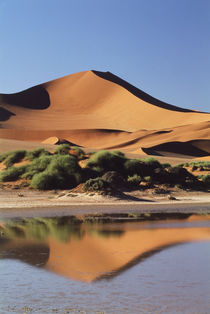 Namibia, Sossusvlei Region, Sand Dunes von Danita Delimont