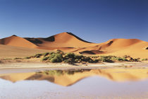 Namibia, Sossusvlei Region, Sand Dunes at desert by Danita Delimont