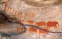 San, Bushman rock art, Cederberg Wilderness Area, Western Ca... by Danita Delimont
