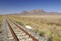Railway track between Graaff-Reinet and Middelburg, Karoo, E... by Danita Delimont