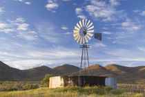 Windmill and dam in the Karoo at sunrise, Western Cape, South Africa. by Danita Delimont
