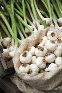 A Bag filled with Fresh Garlic by Danita Delimont
