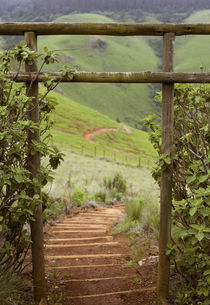 Misty valley scene and wooden steps, iXopo, KwaZulu-Natal, S... von Danita Delimont