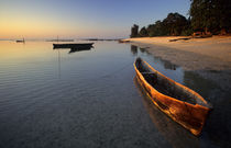 Wooden boats on Tondooni Beach, Pemba Island, Zanzibar, Tanzania by Danita Delimont