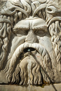 Roman fountain high relief, Carthage National Museum, Byrsa ... by Danita Delimont