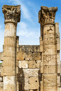 Columns of the House of the Decorated Capitals, Utica Punic ... by Danita Delimont