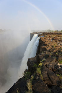 Victoria Falls, Zambia by Danita Delimont