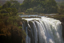 Victoria Falls, Zimbabwe by Danita Delimont