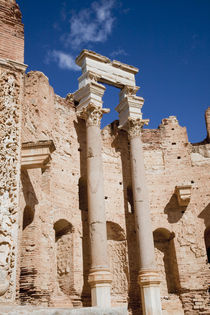 The Severan Basilica, Leptis Magna, Al Khums District, Libya. by Danita Delimont