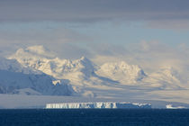 South of the Antarctic Circle. Near Adelaide Island. by Danita Delimont