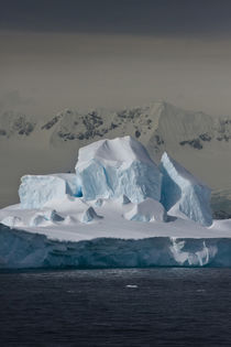Southern Ocean, South Shetland Islands, Antarctica by Danita Delimont