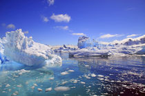 Icebergs and ice flows along the Antarctic Peninsula, near P... von Danita Delimont