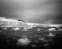 Icebergs, Cuverville Island, Antarctica by Danita Delimont