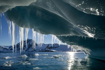 Iceberg, Petermann Island, Antarctica by Danita Delimont