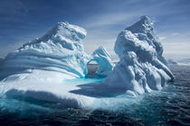 Iceberg, Antarctic Peninsula by Danita Delimont