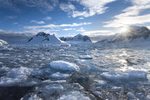 Mountain Peaks and Ice, Antarctic Peninsula by Danita Delimont