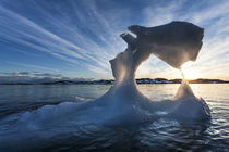 Midnight Sun and Iceberg, Antarctica von Danita Delimont